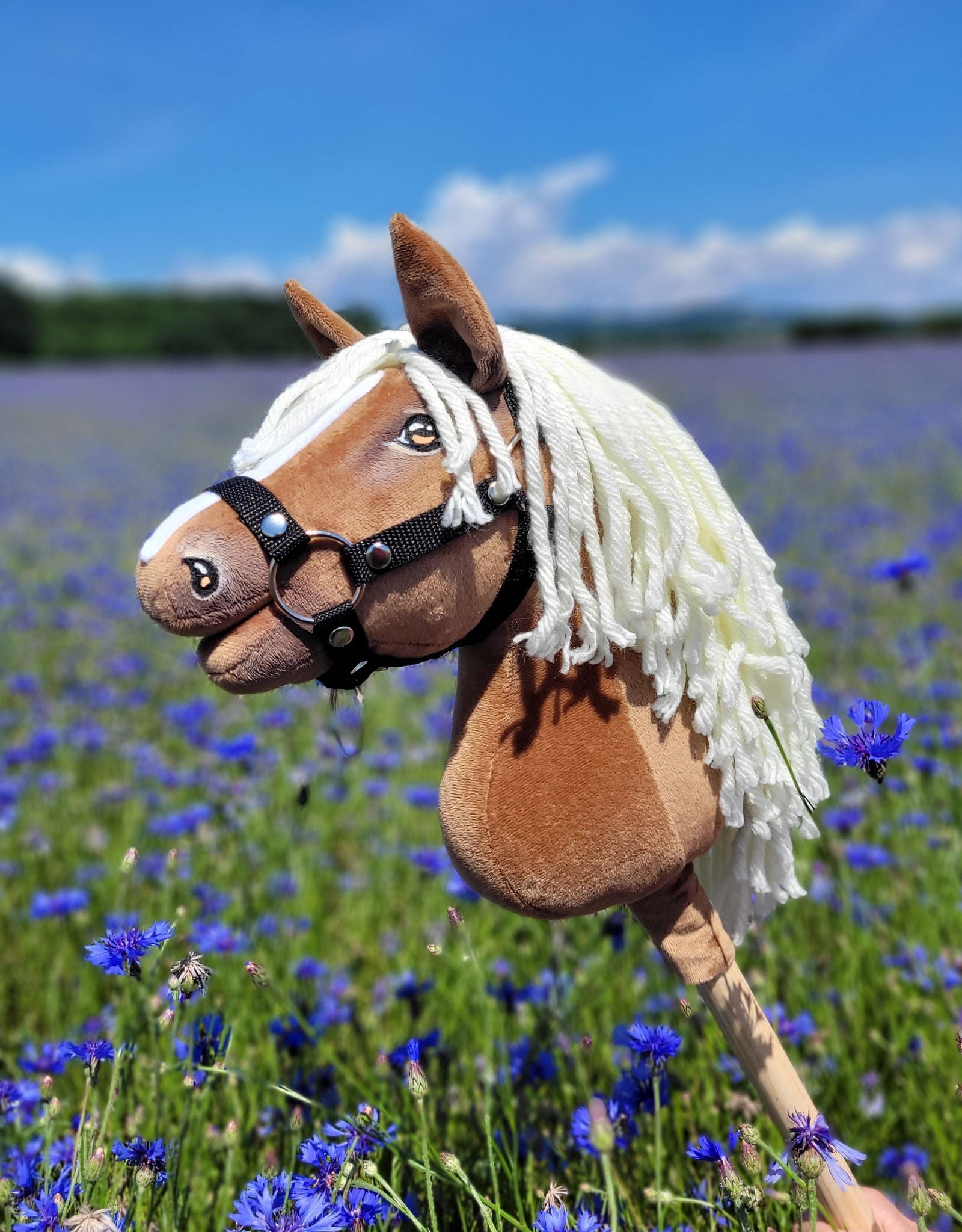 Hobby Horses
