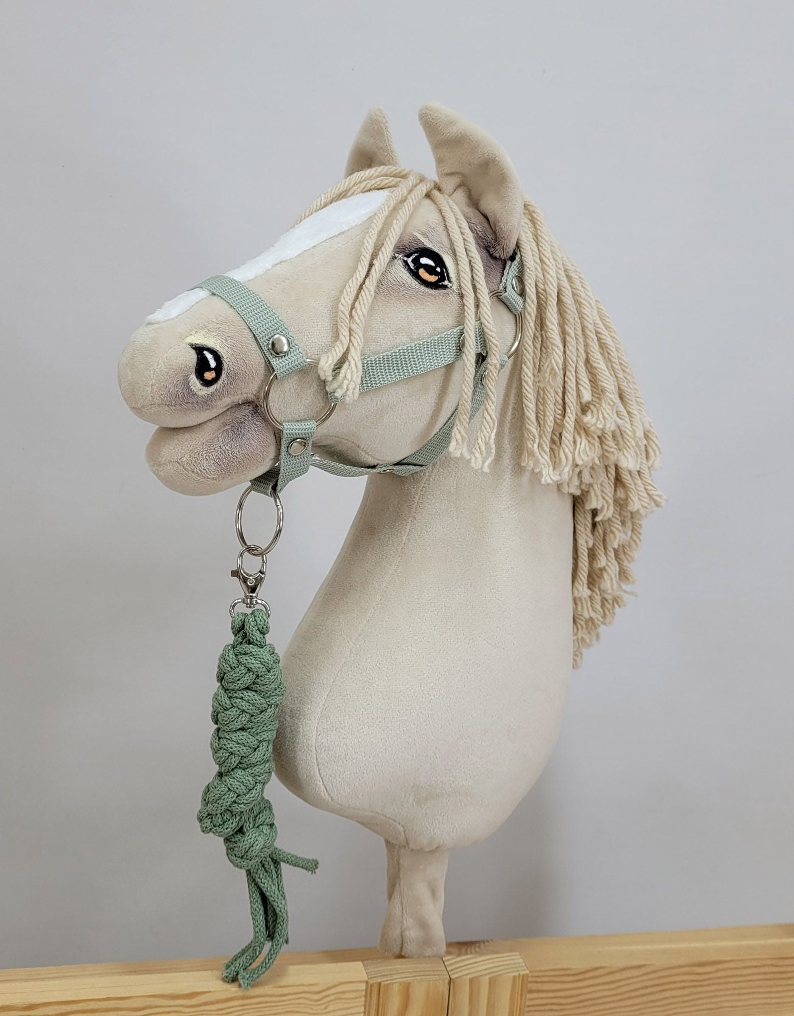 Large A3 sets Halter + Leads